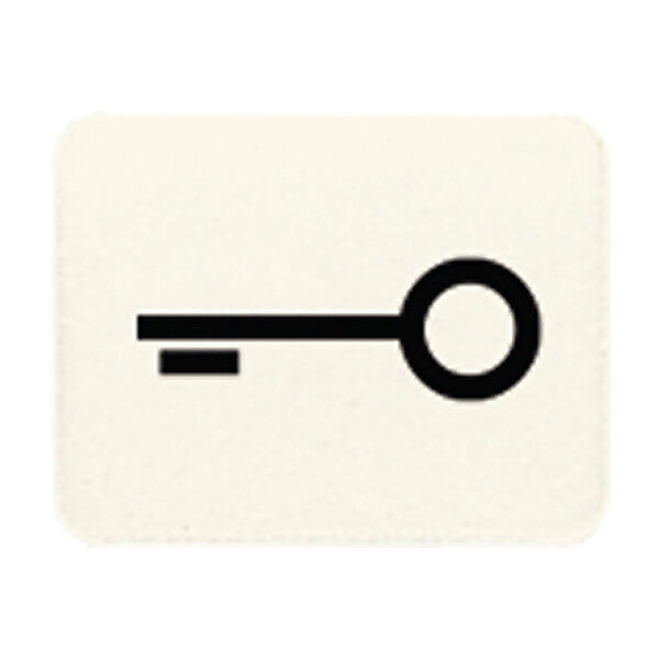 JUNG Symbol ws TÜR 33 T
